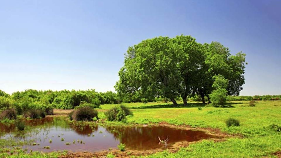 معاون رییس جمهوری: در مورد پتروشیمی میانکاله کوتاه نمی آییم/ کلنگ زنی این پروژه اعتبار ندارد معاون رییس جمهوری: در مورد پتروشیمی میانکاله کوتاه نمی آییم/ کلنگ زنی این پروژه اعتبار ندارد
