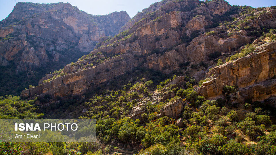 طبیعت «دالاهو وریجاب» طبیعت «دالاهو وریجاب»