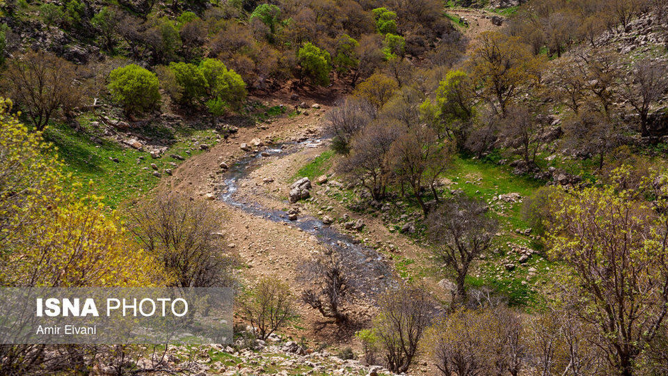طبیعت «دالاهو وریجاب» طبیعت «دالاهو وریجاب»