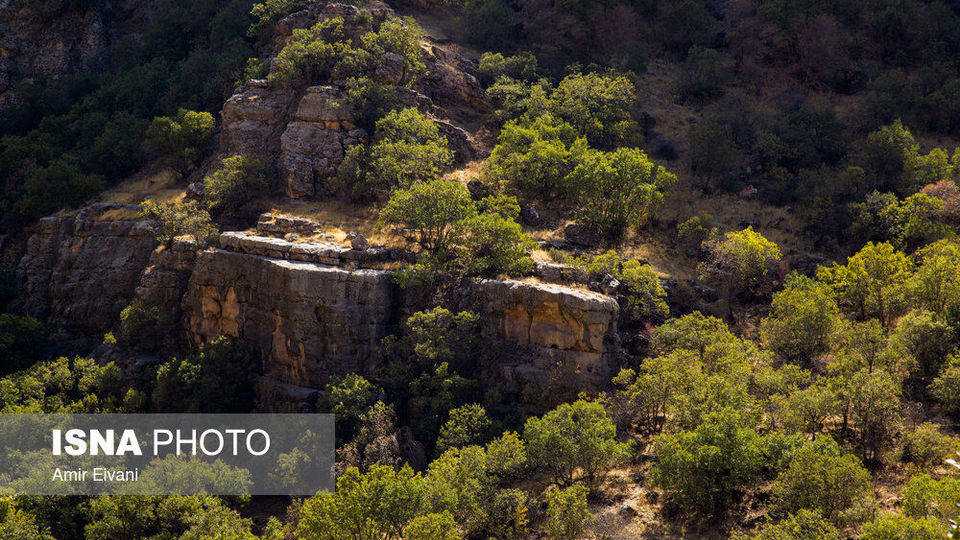 طبیعت «دالاهو وریجاب» طبیعت «دالاهو وریجاب»