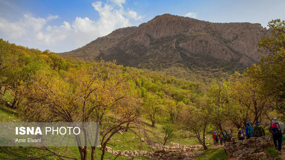 طبیعت «دالاهو وریجاب» طبیعت «دالاهو وریجاب»