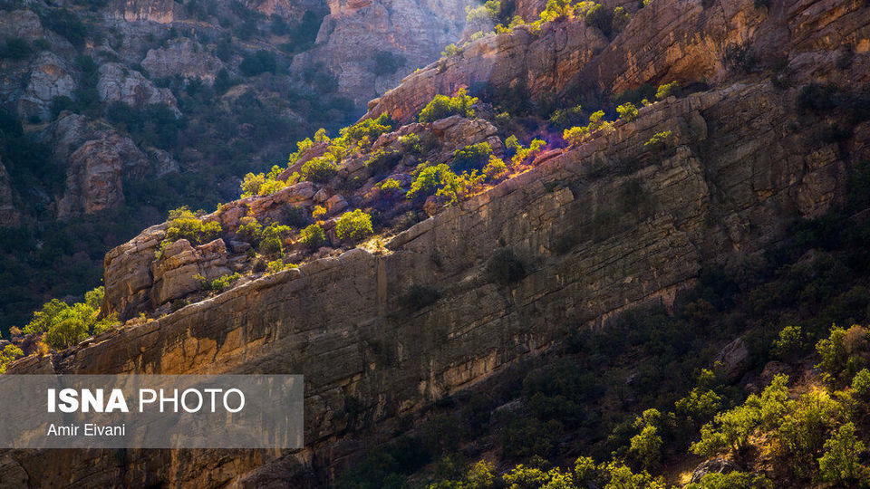طبیعت «دالاهو وریجاب» طبیعت «دالاهو وریجاب»