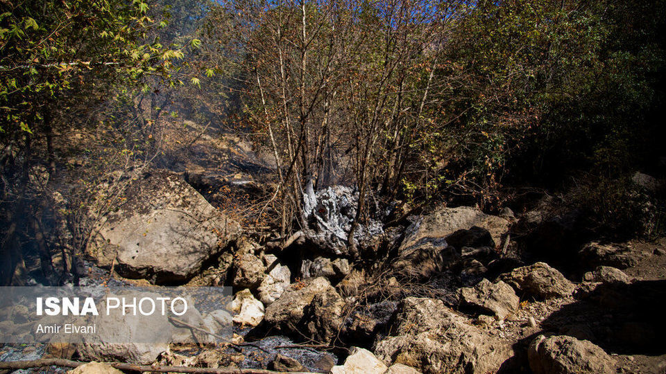 طبیعت «دالاهو وریجاب» طبیعت «دالاهو وریجاب»