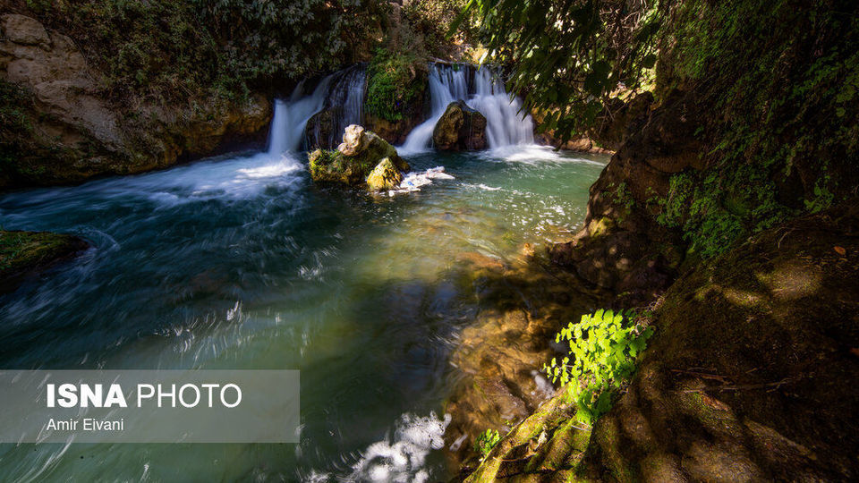 طبیعت «دالاهو وریجاب» طبیعت «دالاهو وریجاب»