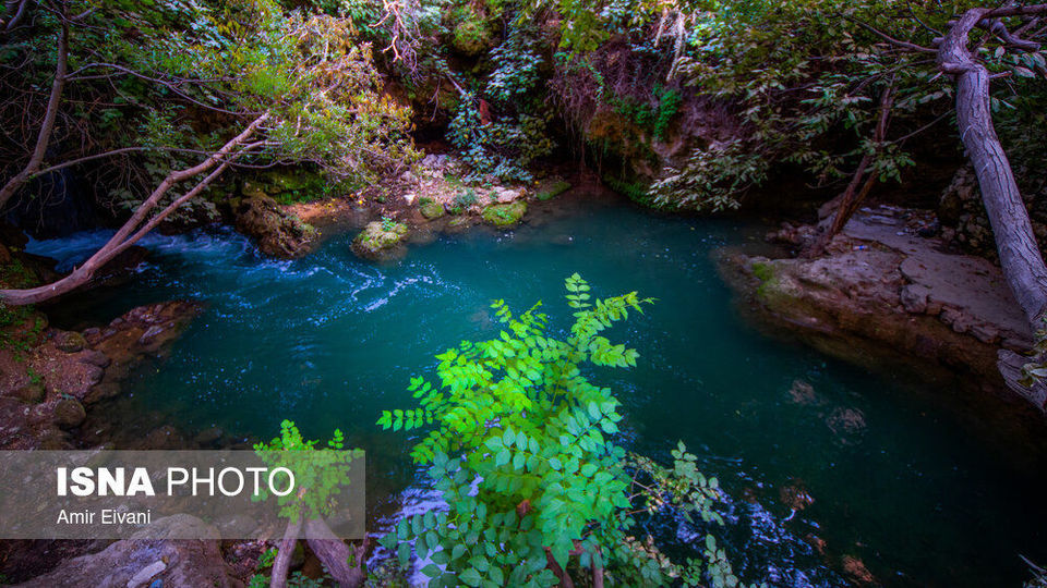 طبیعت «دالاهو وریجاب» طبیعت «دالاهو وریجاب»