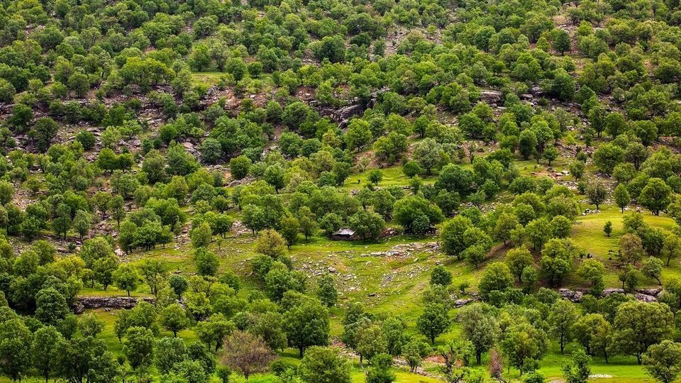 طبیعت چشم نواز بازفت - چهارمحال و بختیاری طبیعت چشم نواز بازفت - چهارمحال و بختیاری