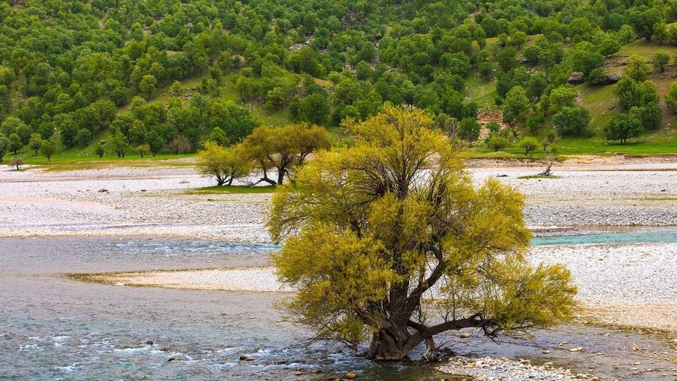 طبیعت چشم نواز بازفت - چهارمحال و بختیاری طبیعت چشم نواز بازفت - چهارمحال و بختیاری