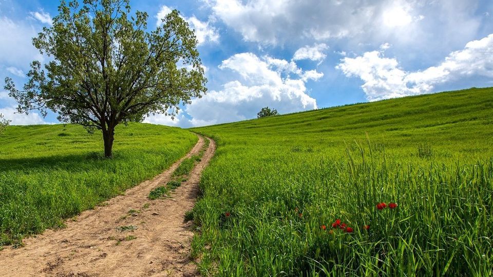 طبیعت چشم نواز بازفت - چهارمحال و بختیاری طبیعت چشم نواز بازفت - چهارمحال و بختیاری