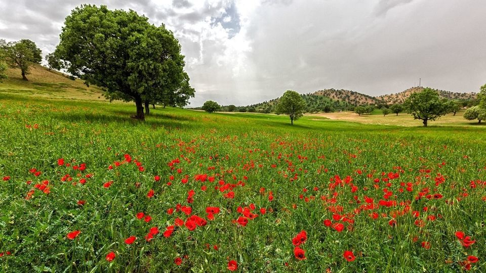 طبیعت چشم نواز بازفت - چهارمحال و بختیاری طبیعت چشم نواز بازفت - چهارمحال و بختیاری