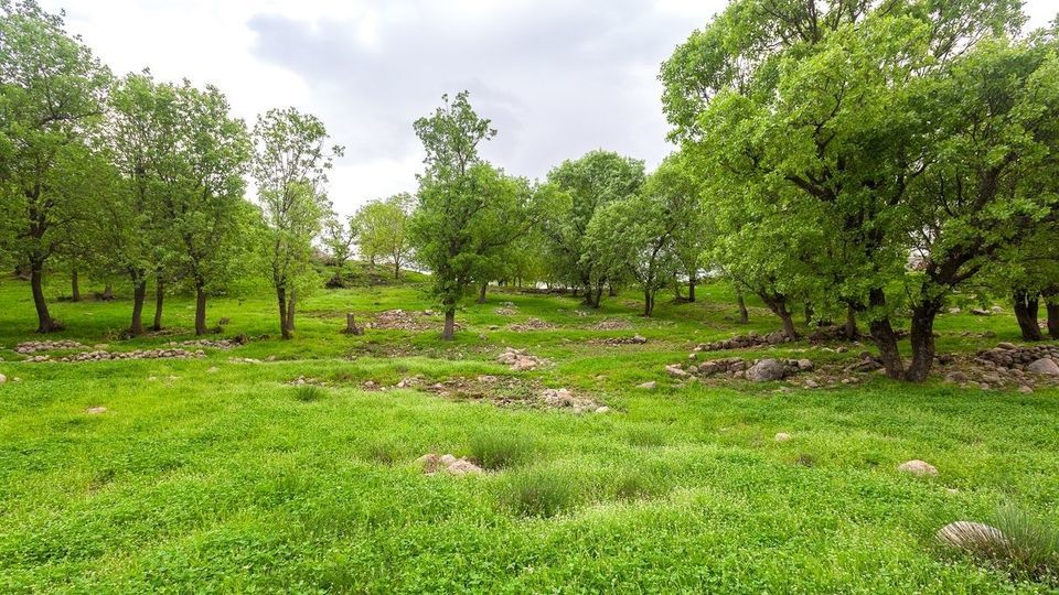 طبیعت چشم نواز بازفت - چهارمحال و بختیاری طبیعت چشم نواز بازفت - چهارمحال و بختیاری