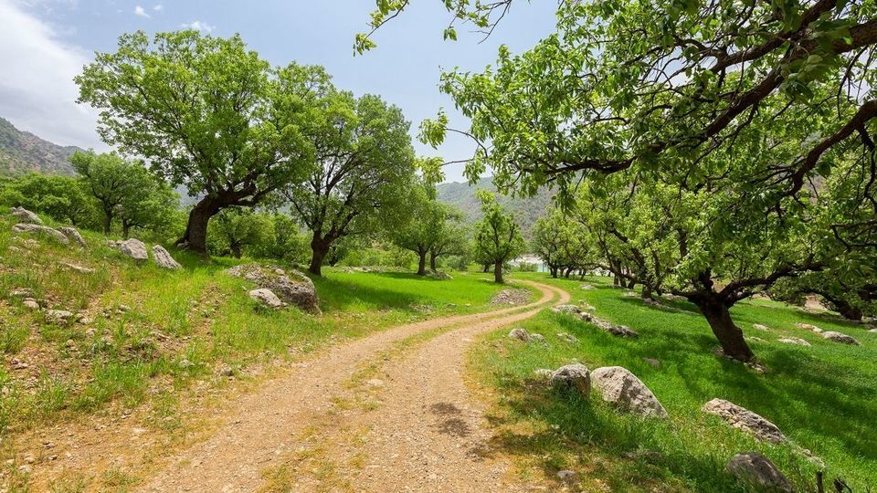 طبیعت چشم نواز بازفت - چهارمحال و بختیاری طبیعت چشم نواز بازفت - چهارمحال و بختیاری