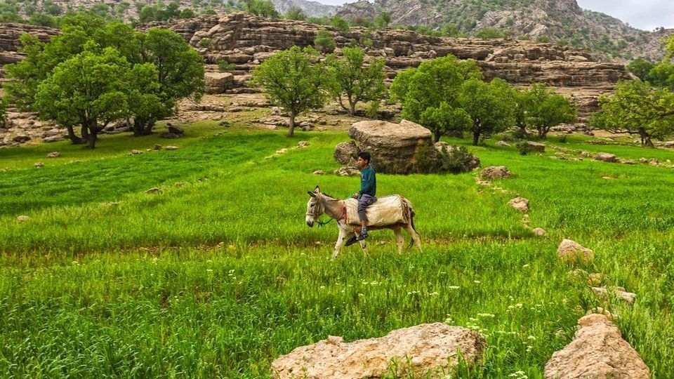 طبیعت چشم نواز بازفت - چهارمحال و بختیاری طبیعت چشم نواز بازفت - چهارمحال و بختیاری