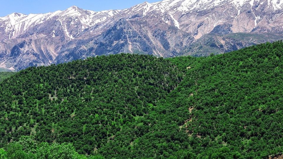 طبیعت چشم نواز بازفت - چهارمحال و بختیاری طبیعت چشم نواز بازفت - چهارمحال و بختیاری