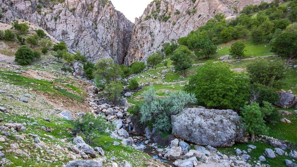 طبیعت چشم نواز بازفت - چهارمحال و بختیاری طبیعت چشم نواز بازفت - چهارمحال و بختیاری