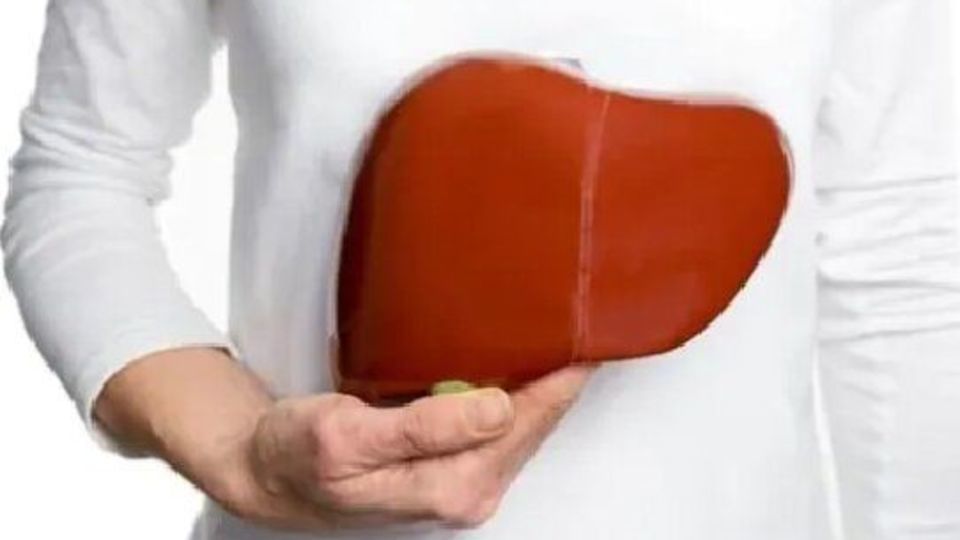 توصیههایی برای سلامت کبد توصیههایی برای سلامت کبد