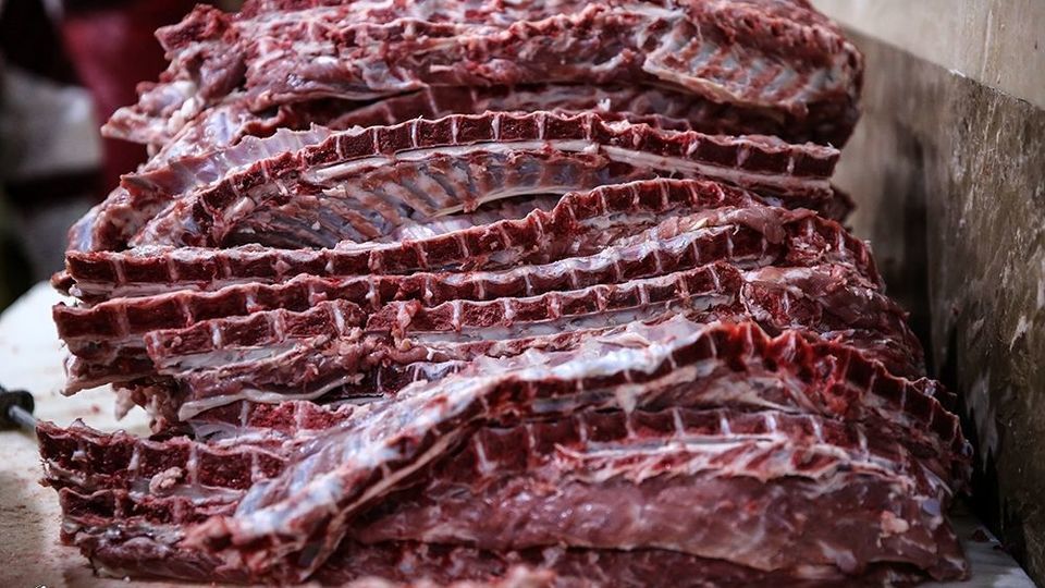 ۳۰ نفر مبتلا به تب کریمه کنگو شدند ۳۰ نفر مبتلا به تب کریمه کنگو شدند