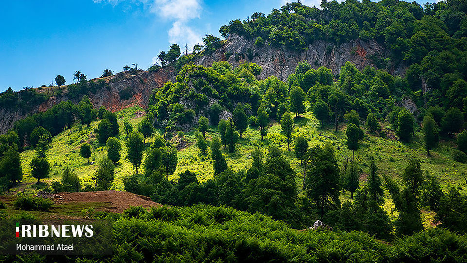 ارتفاعات برفچال مینودشت؛ استان گلستان ارتفاعات برفچال مینودشت؛ استان گلستان