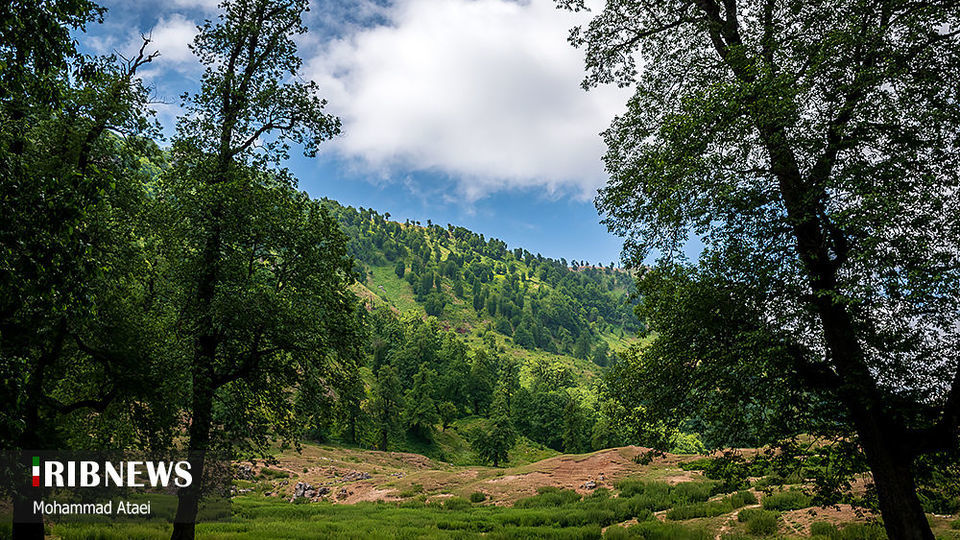 ارتفاعات برفچال مینودشت؛ استان گلستان ارتفاعات برفچال مینودشت؛ استان گلستان