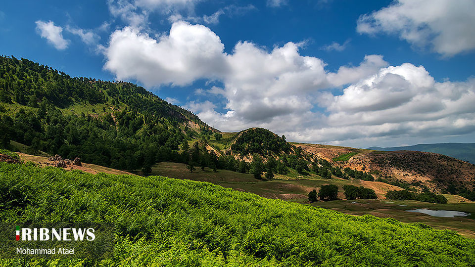 ارتفاعات برفچال مینودشت؛ استان گلستان ارتفاعات برفچال مینودشت؛ استان گلستان