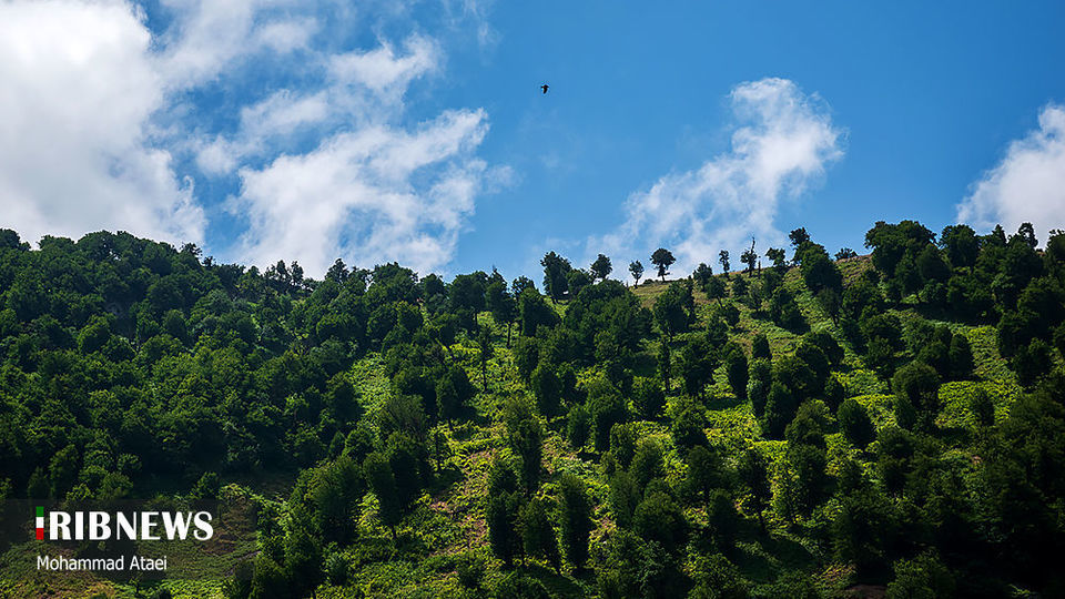 ارتفاعات برفچال مینودشت؛ استان گلستان ارتفاعات برفچال مینودشت؛ استان گلستان