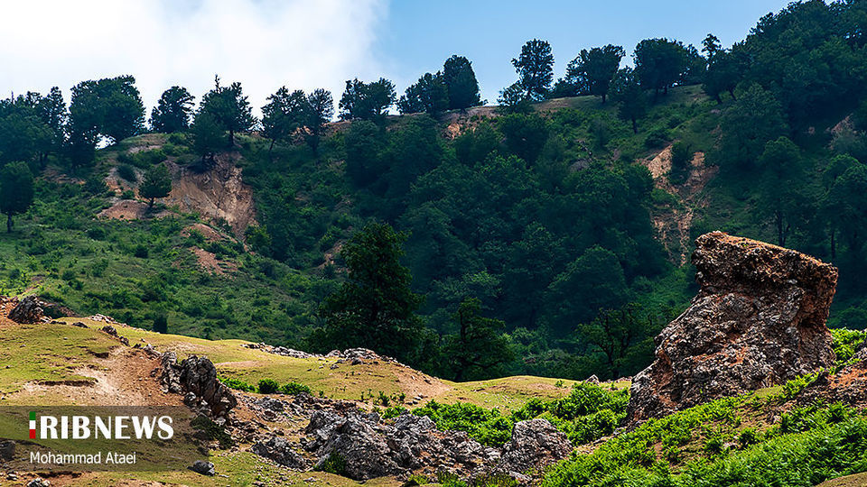 ارتفاعات برفچال مینودشت؛ استان گلستان ارتفاعات برفچال مینودشت؛ استان گلستان