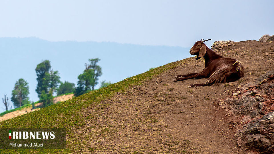 ارتفاعات برفچال مینودشت؛ استان گلستان ارتفاعات برفچال مینودشت؛ استان گلستان
