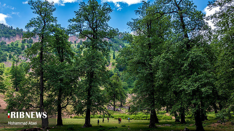 ارتفاعات برفچال مینودشت؛ استان گلستان ارتفاعات برفچال مینودشت؛ استان گلستان