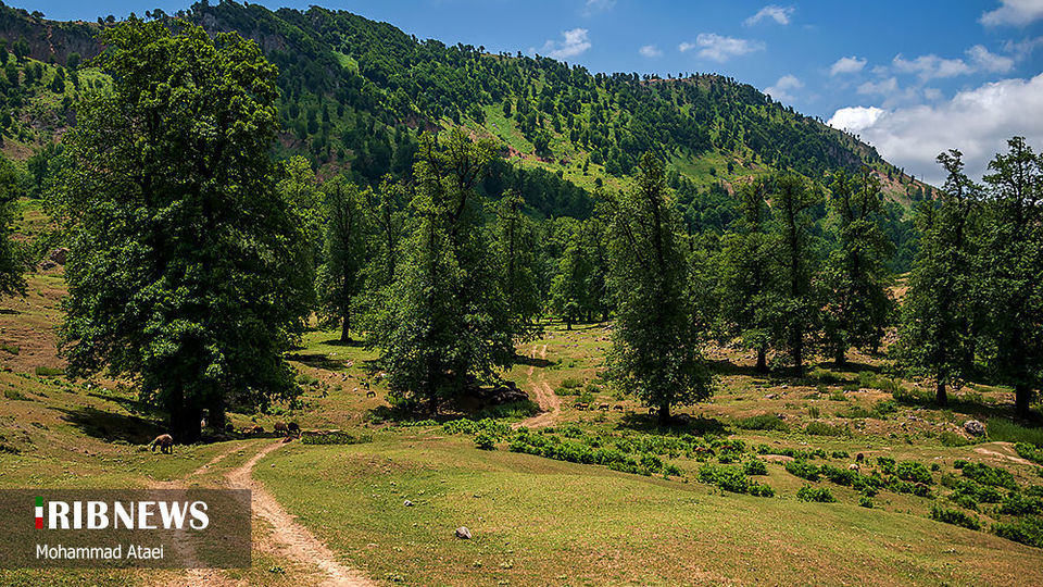 ارتفاعات برفچال مینودشت؛ استان گلستان ارتفاعات برفچال مینودشت؛ استان گلستان