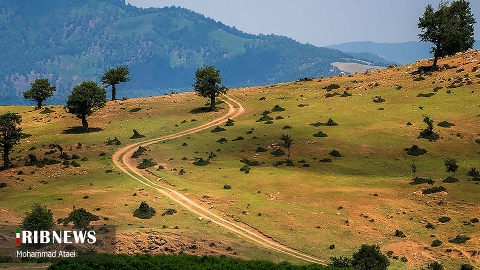 ارتفاعات برفچال مینودشت؛ استان گلستان ارتفاعات برفچال مینودشت؛ استان گلستان
