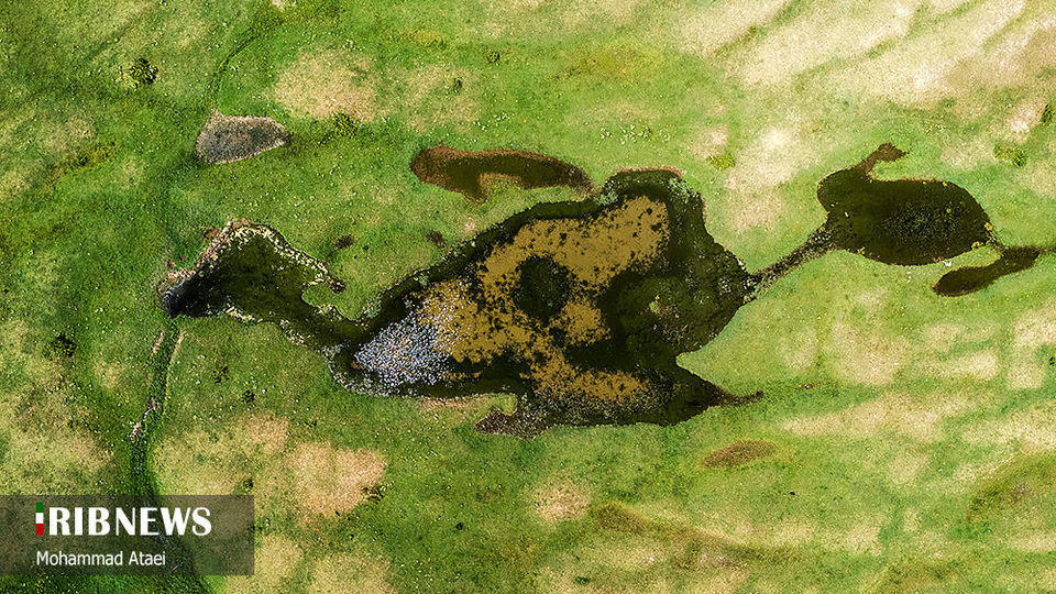 ارتفاعات برفچال مینودشت؛ استان گلستان ارتفاعات برفچال مینودشت؛ استان گلستان