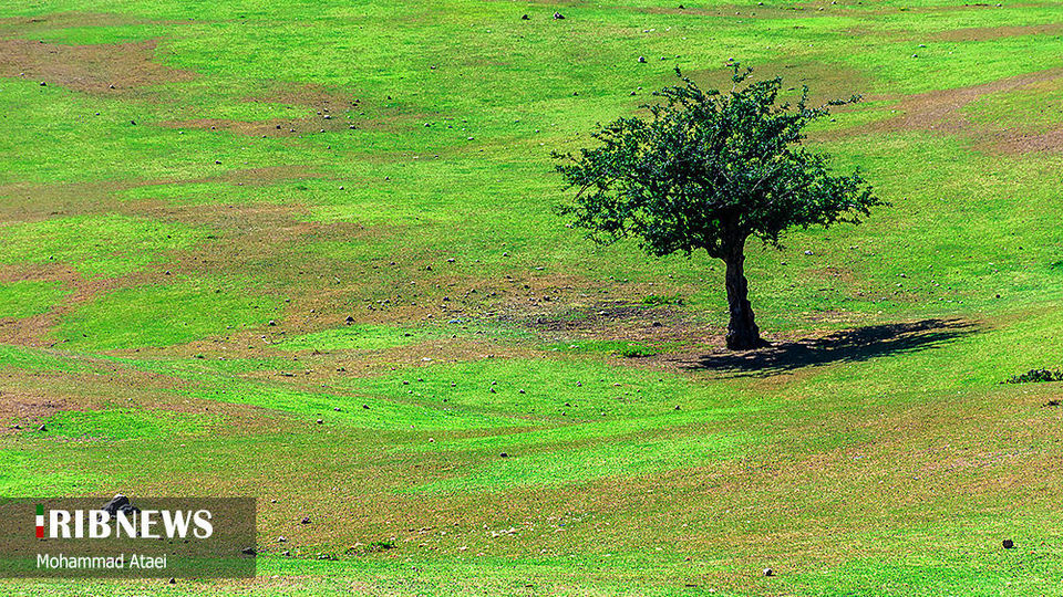 ارتفاعات برفچال مینودشت؛ استان گلستان ارتفاعات برفچال مینودشت؛ استان گلستان