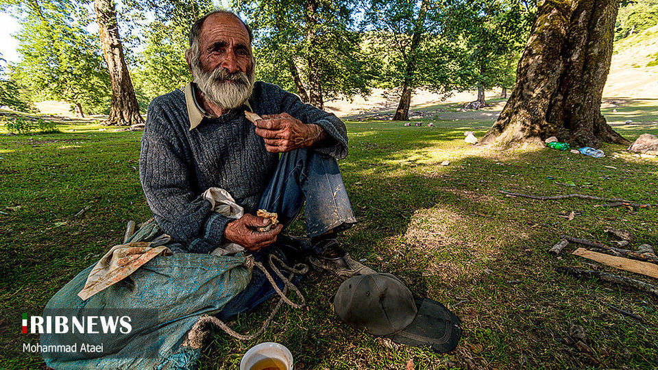 ارتفاعات برفچال مینودشت؛ استان گلستان ارتفاعات برفچال مینودشت؛ استان گلستان