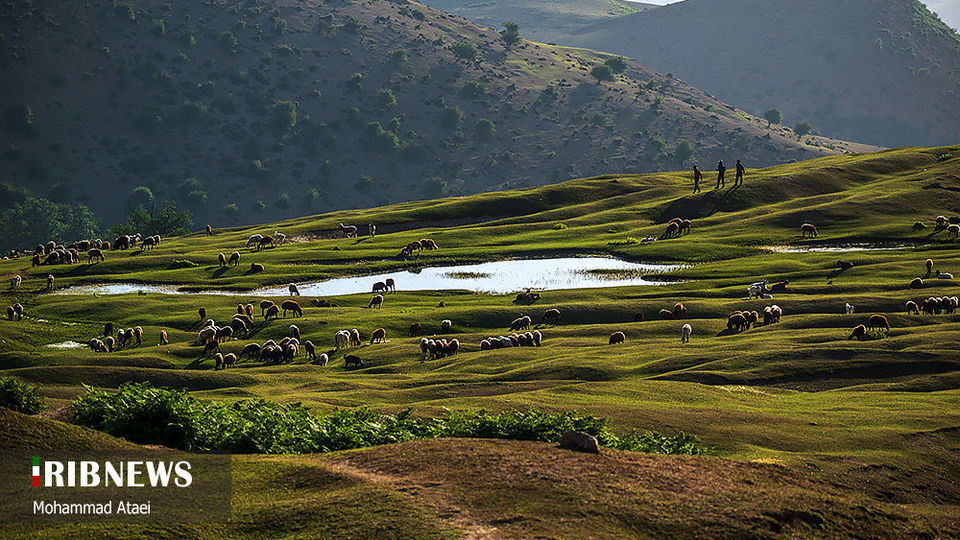 ارتفاعات برفچال مینودشت؛ استان گلستان ارتفاعات برفچال مینودشت؛ استان گلستان