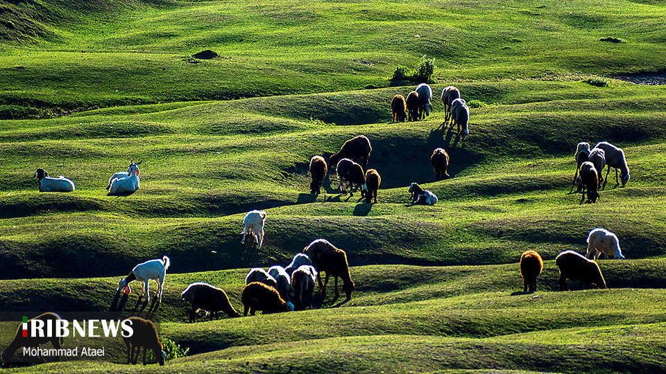 ارتفاعات برفچال مینودشت؛ استان گلستان ارتفاعات برفچال مینودشت؛ استان گلستان