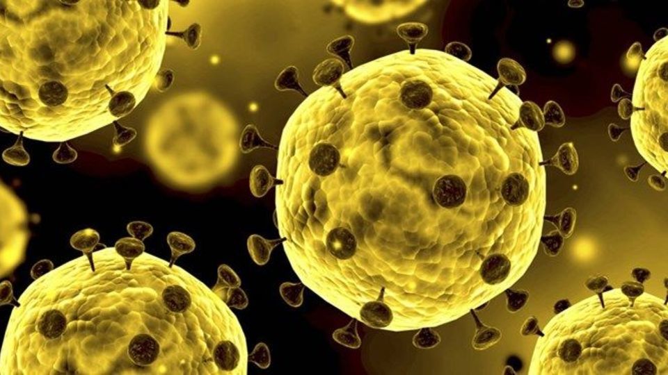 شناسایی ۳۵۲ بیمار جدید و فوت یک بیمار کووید۱۹ شناسایی ۳۵۲ بیمار جدید و فوت یک بیمار کووید۱۹