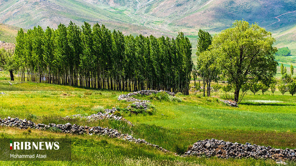 طبیعت بکر سرزمین کهن کردستان طبیعت بکر سرزمین کهن کردستان