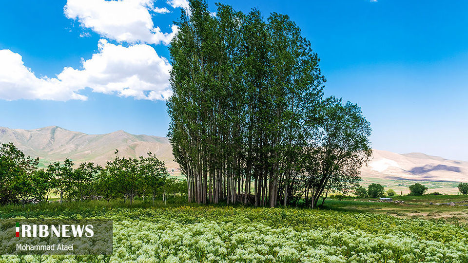 طبیعت بکر سرزمین کهن کردستان طبیعت بکر سرزمین کهن کردستان