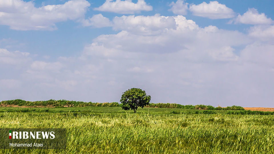 طبیعت بکر سرزمین کهن کردستان طبیعت بکر سرزمین کهن کردستان