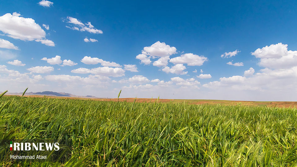 طبیعت بکر سرزمین کهن کردستان طبیعت بکر سرزمین کهن کردستان