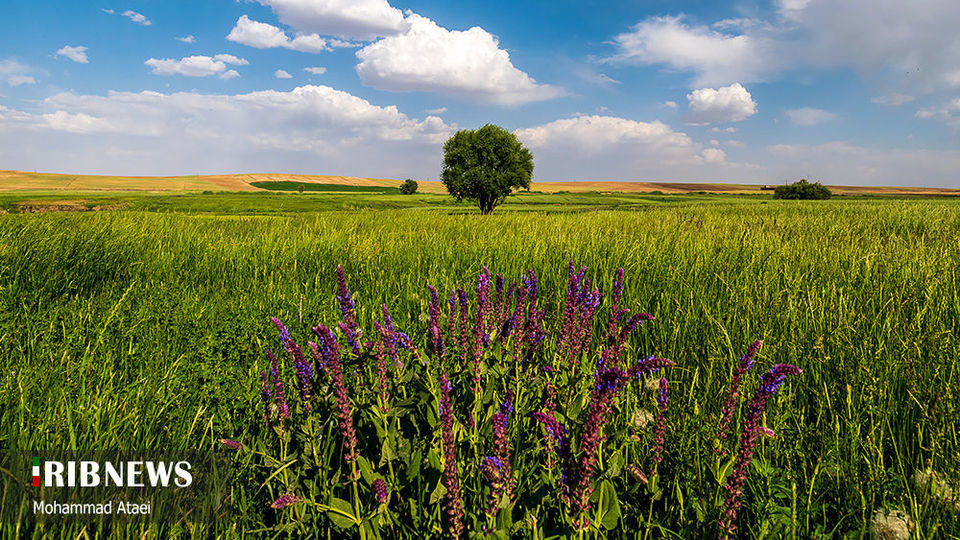 طبیعت بکر سرزمین کهن کردستان طبیعت بکر سرزمین کهن کردستان