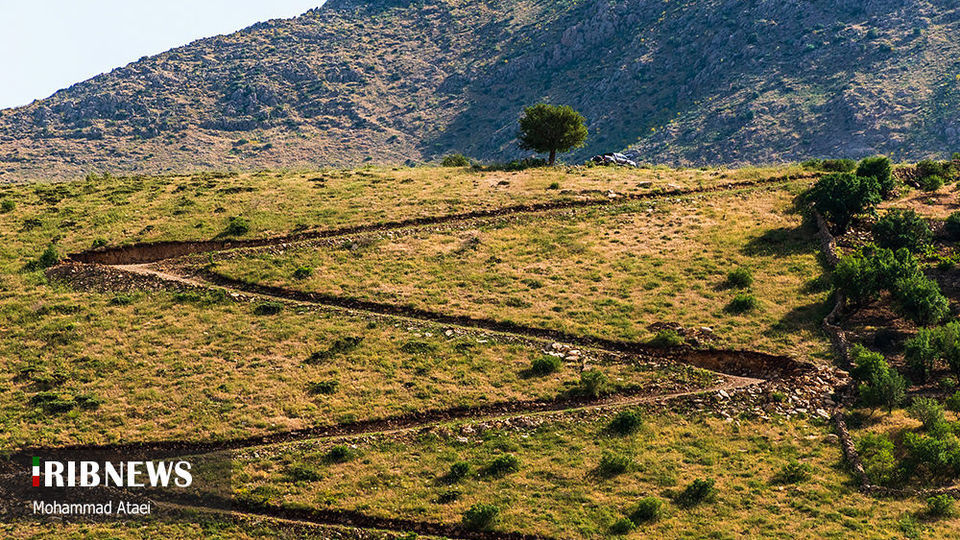 طبیعت بکر سرزمین کهن کردستان طبیعت بکر سرزمین کهن کردستان