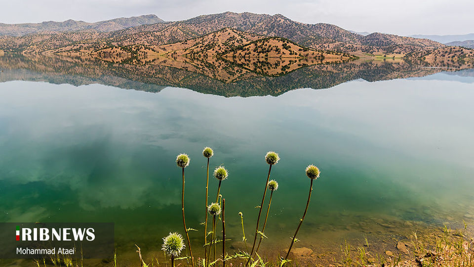 طبیعت بکر سرزمین کهن کردستان طبیعت بکر سرزمین کهن کردستان
