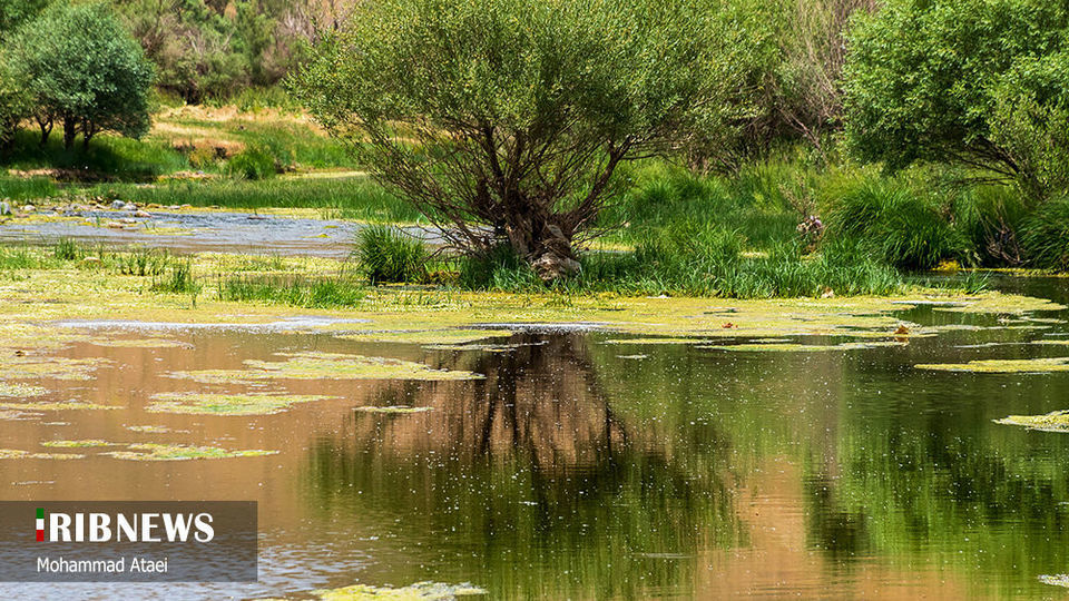 طبیعت بکر سرزمین کهن کردستان طبیعت بکر سرزمین کهن کردستان