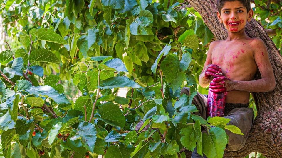 زمانی برای تفریح زمانی برای تفریح