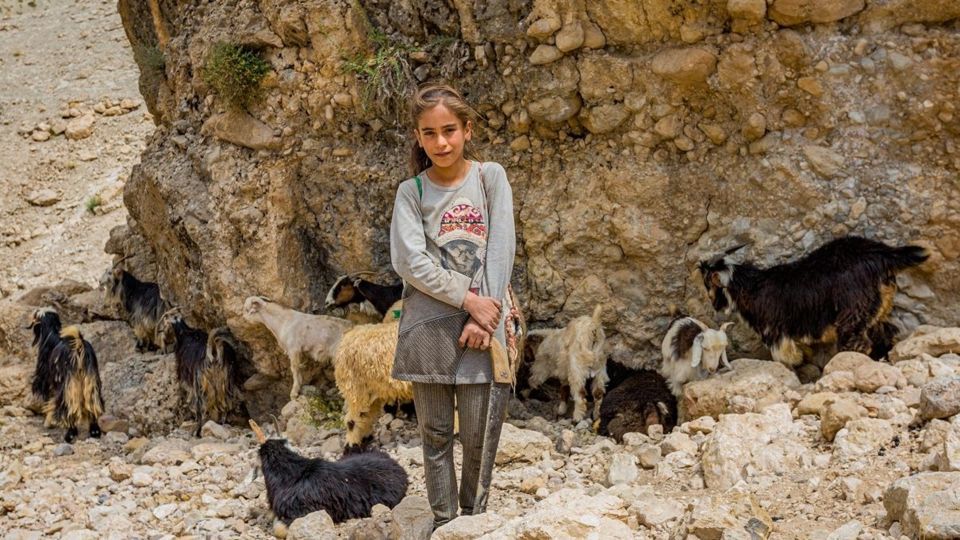 زمانی برای تفریح زمانی برای تفریح