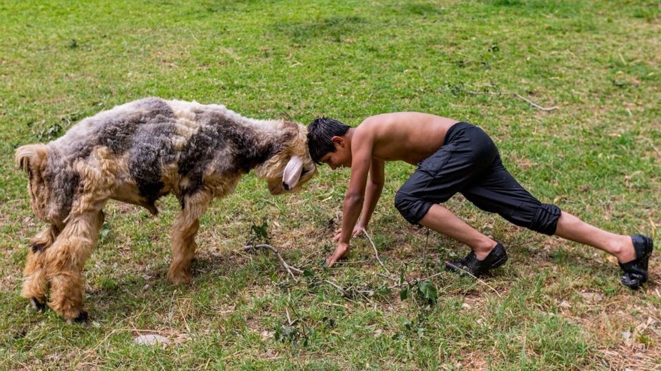 زمانی برای تفریح زمانی برای تفریح