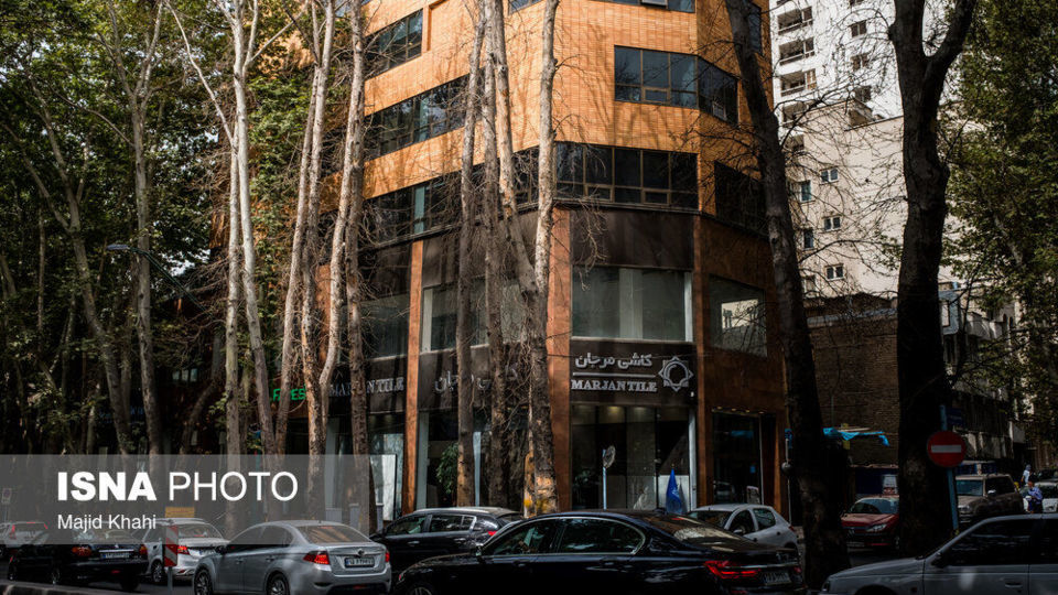 سرنوشت چنارهای طولانیترین خیابان خاورمیانه سرنوشت چنارهای طولانیترین خیابان خاورمیانه