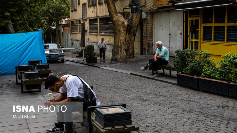 سرنوشت چنارهای طولانیترین خیابان خاورمیانه سرنوشت چنارهای طولانیترین خیابان خاورمیانه