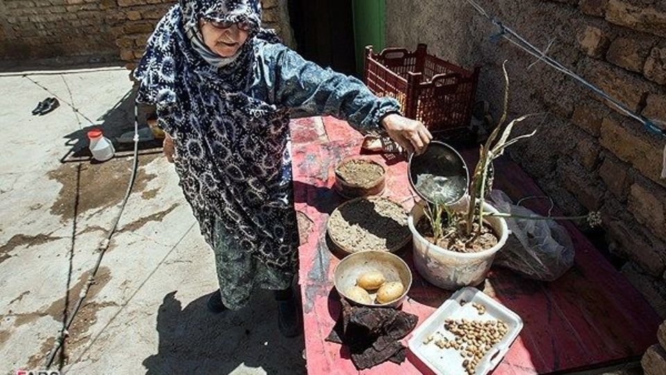 زندگی و نقاشی های ننه حسن زندگی و نقاشی های ننه حسن