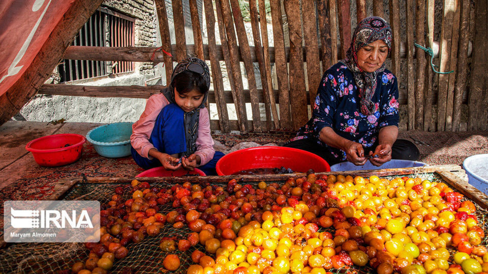 پشت بام های طلایی خَروْ پشت بام های طلایی خَروْ